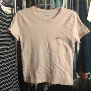 Brandy Melville Pink Crop Top